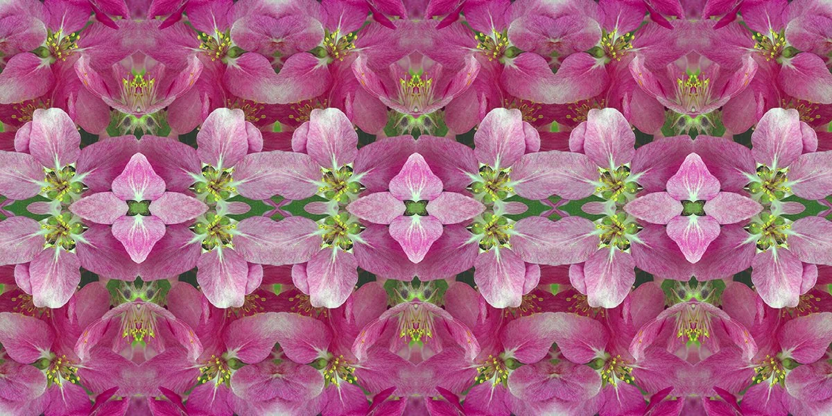 Symmagery Crabapple Blossoms