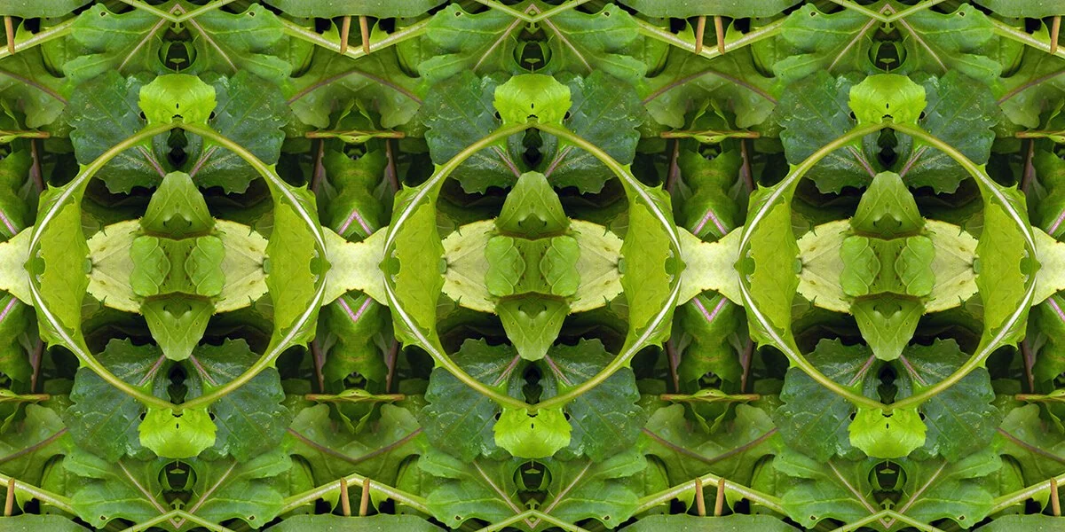 Spring Greens Collection