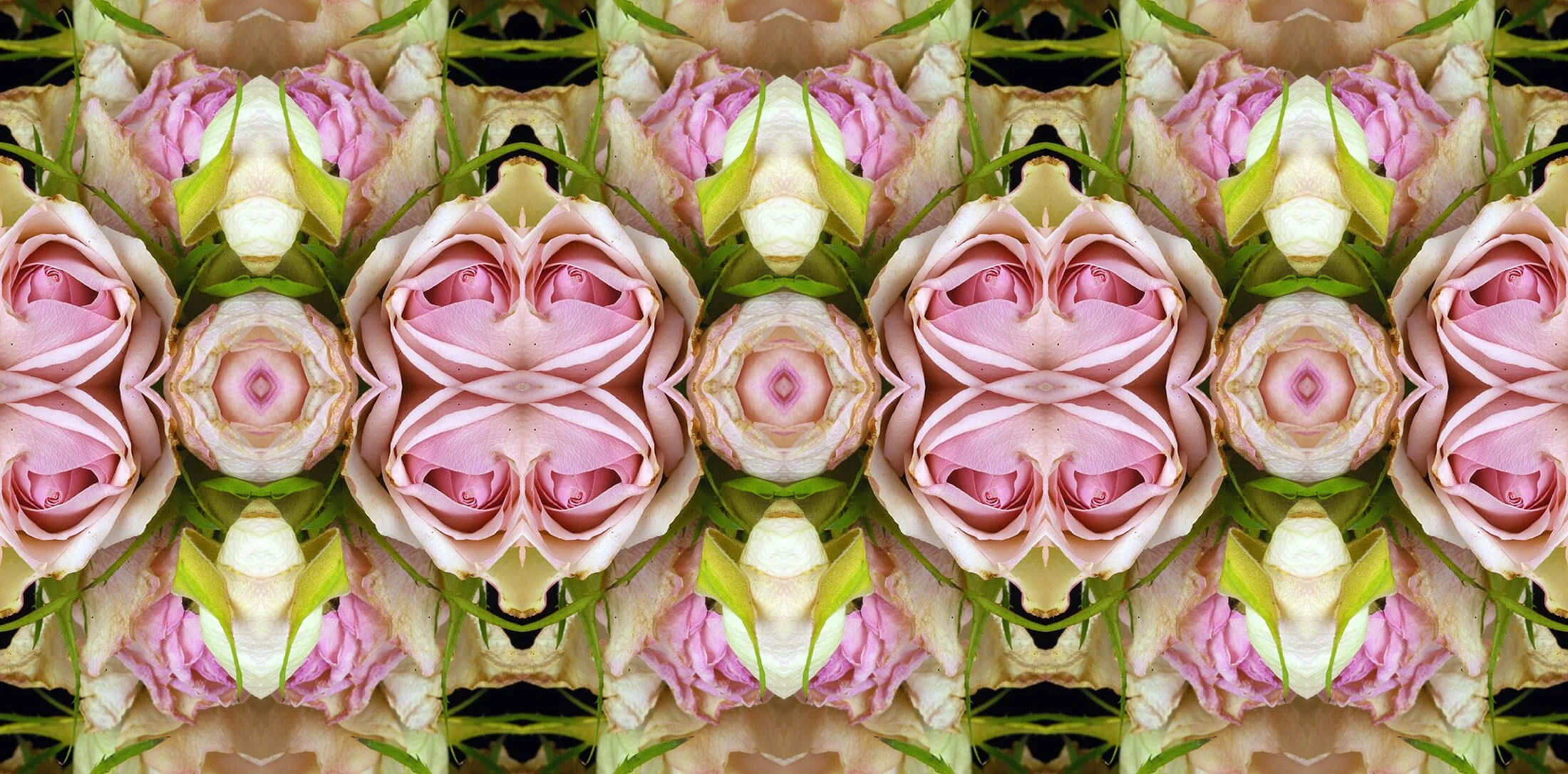 TEA ROSE PATTERN