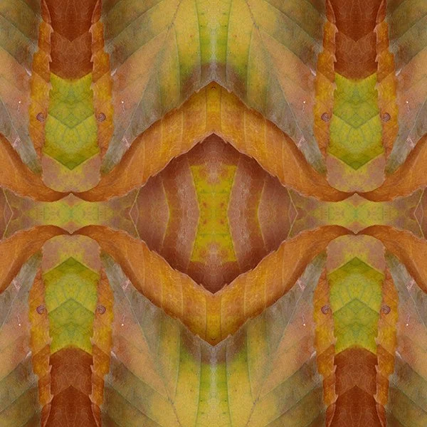 8832 Beech Swatch.jpg