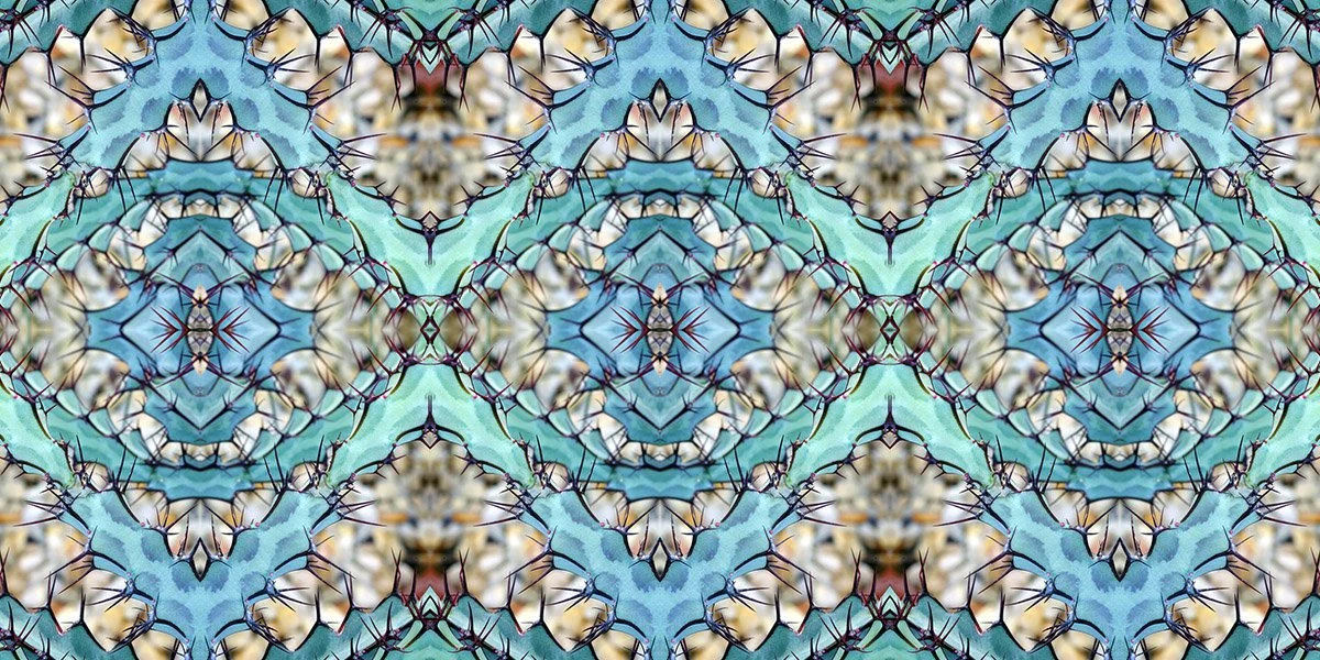 TEAL EUPHORBIA PATTERN