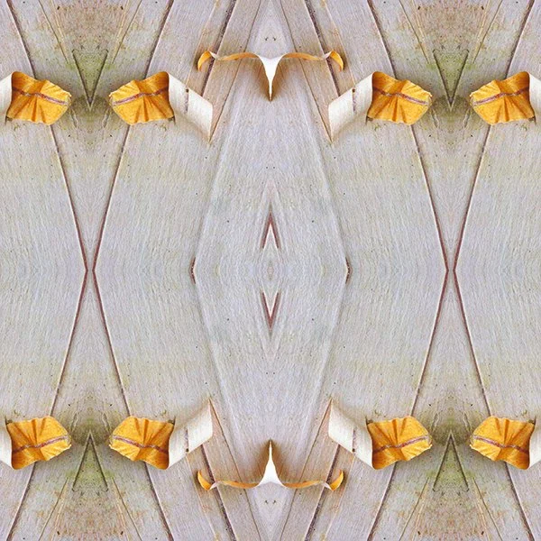 Product Swatch Paper birch.jpg