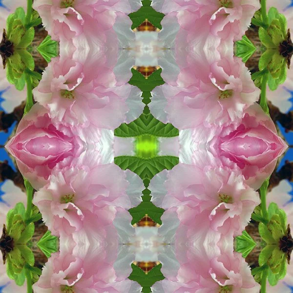 Cherry Blossom Swatch .jpg