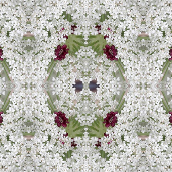 Queen Anne's lace Swatch.jpg