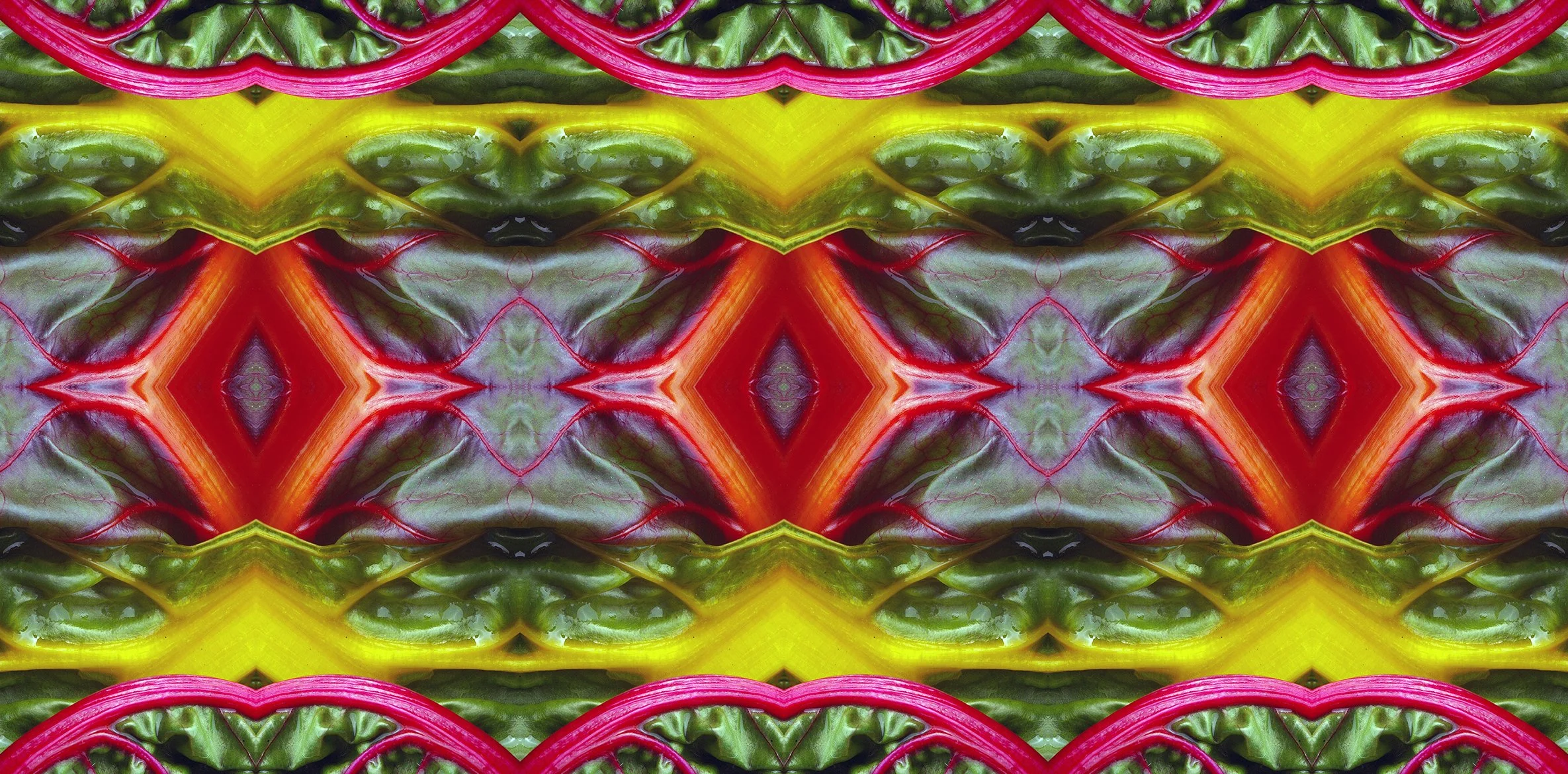 Rainbow Chard
