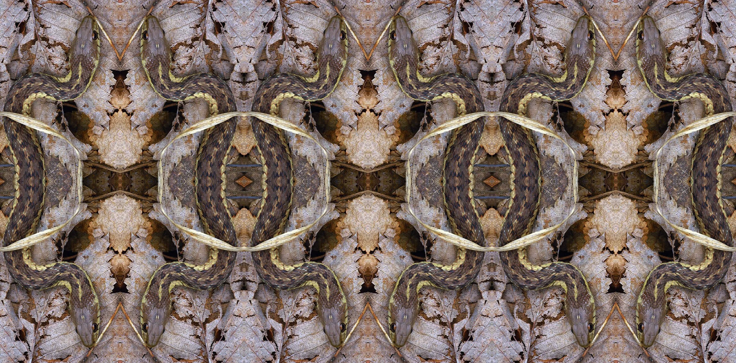 Spring Fauna Collection