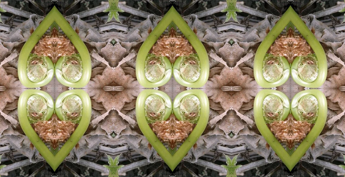 symmagery-design_home_carousel-fern-hearts-pattern.jpg