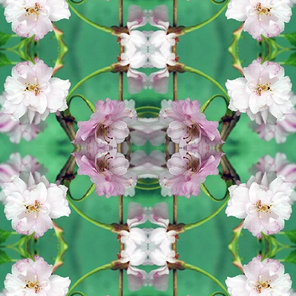 Pattern Swatch Weeping Cherry.jpg