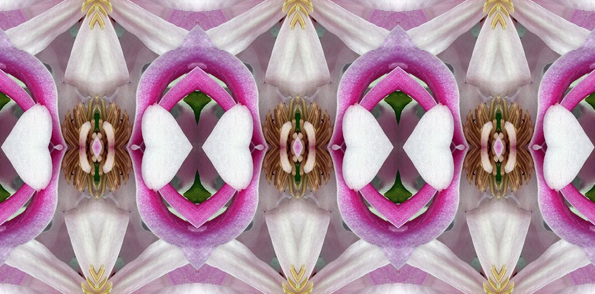 MAGNOLIA PATTERN