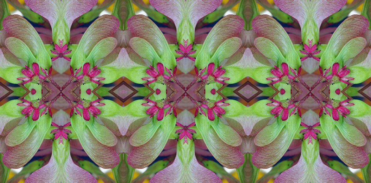 RED MAPLE PATTERN