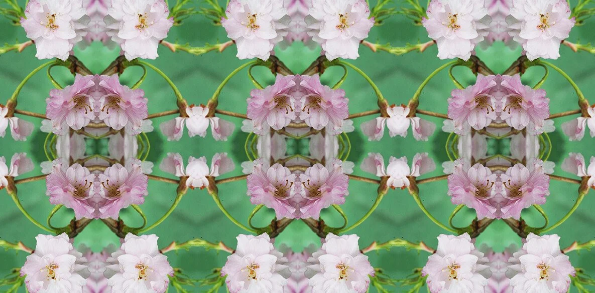 WEEPING CHERRY PATTERN