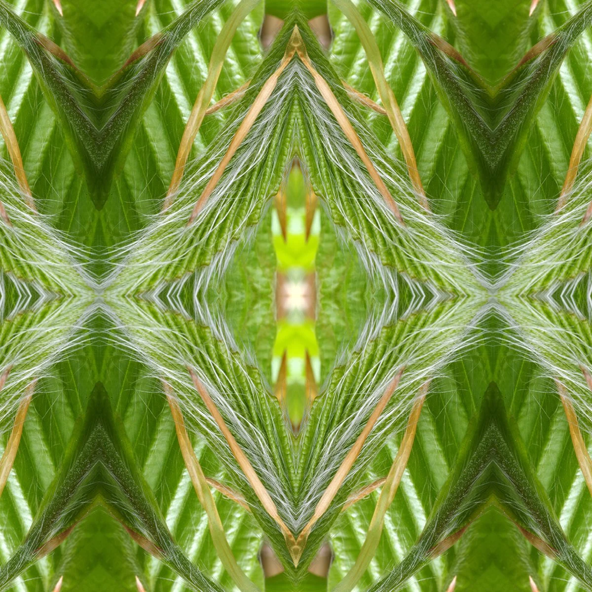 Spring Beech leaves 2 swatch.jpg