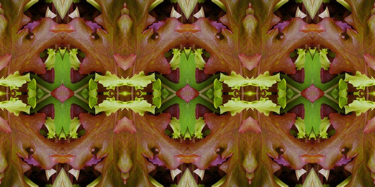 MESCLUN GREENS PATTERN