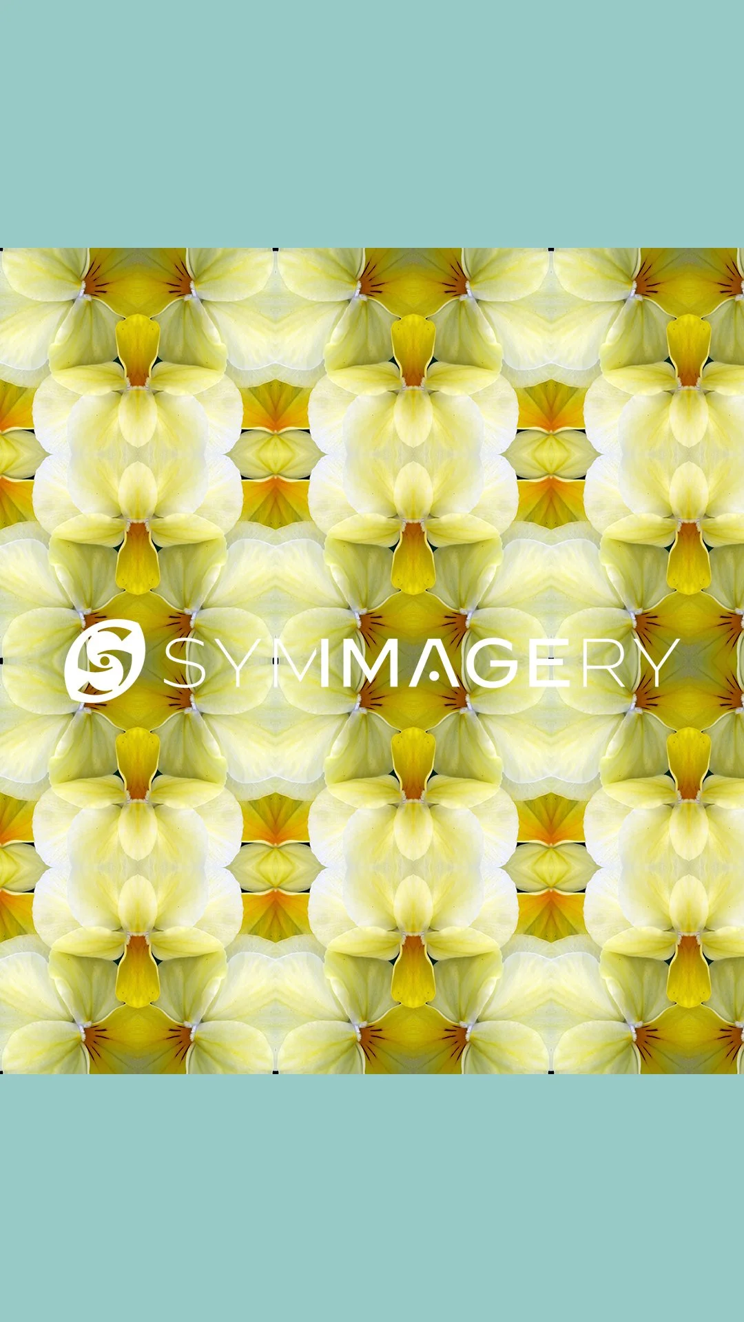 Spring Gift Card Yellow Violet Swatch.jpg