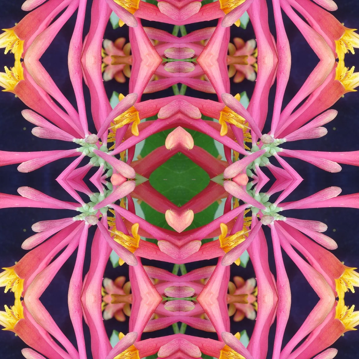 Honey suckle Pattern Swatch.jpg