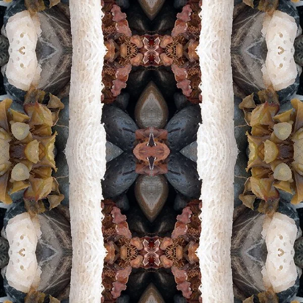 Rock star seaweed seasponge Swatch.jpg