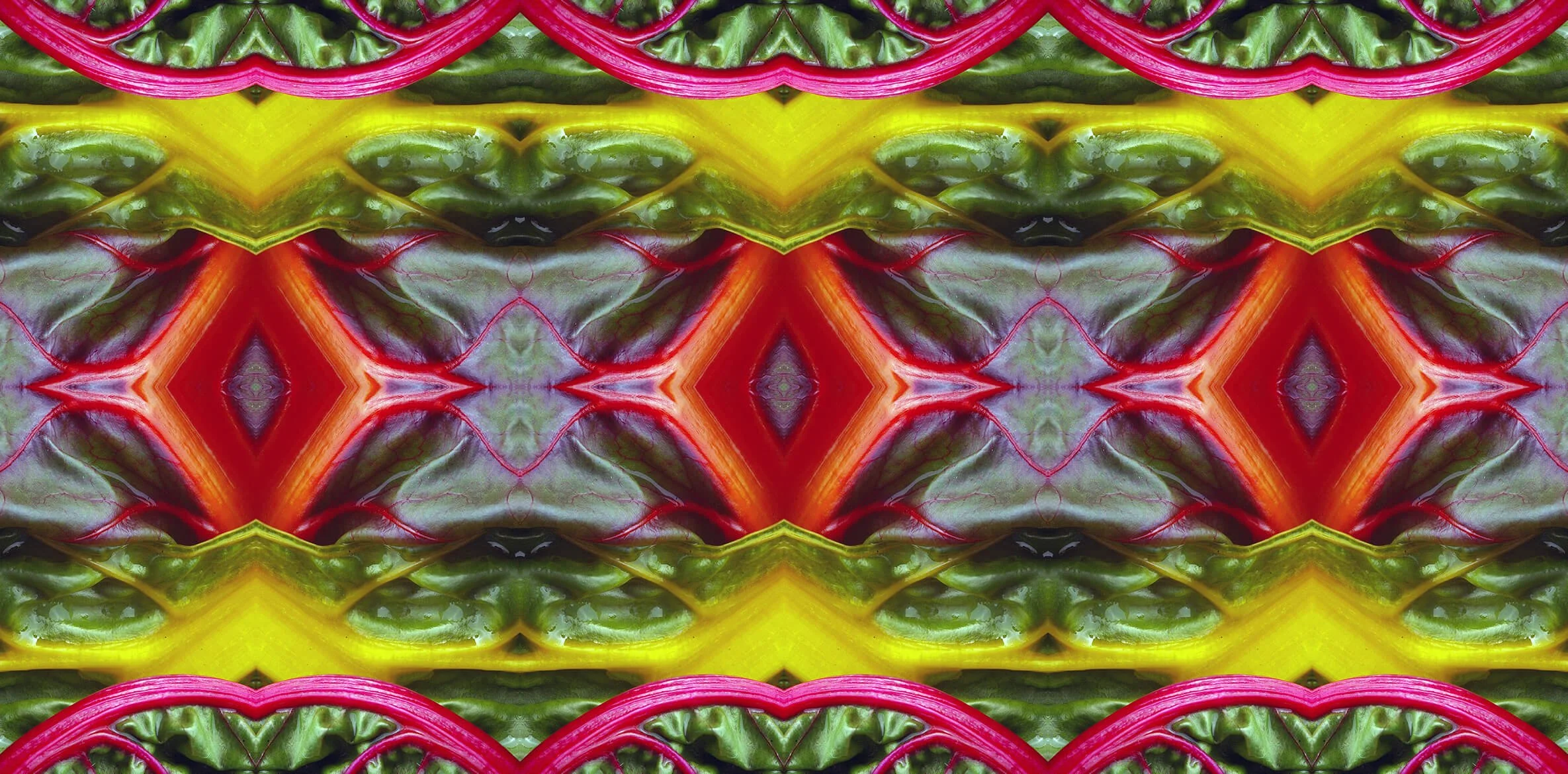 RAINBOW CHARD PATTERN