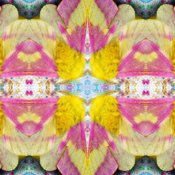 Symmagery Rosy Maple Moth Silk Scarf
