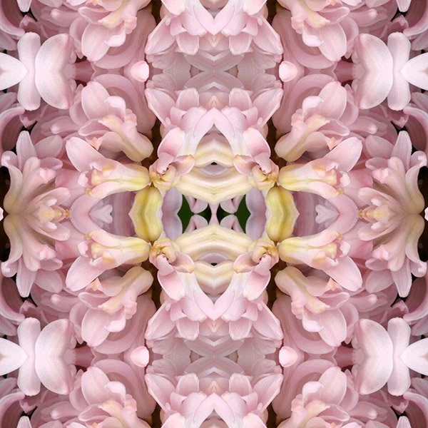 Pink Hyacinth Swatch .jpg