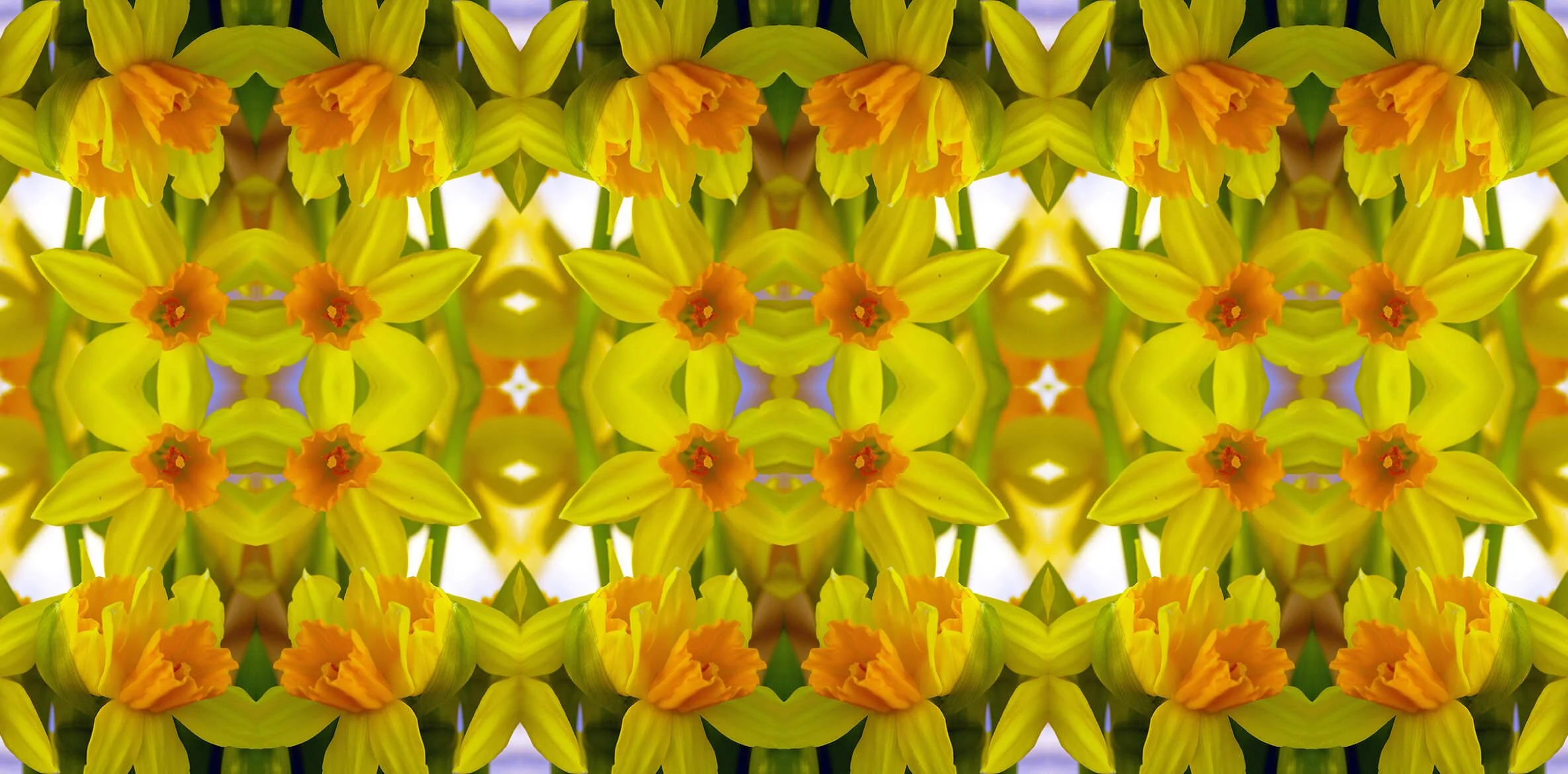 MINI DAFFODIL PATTERN
