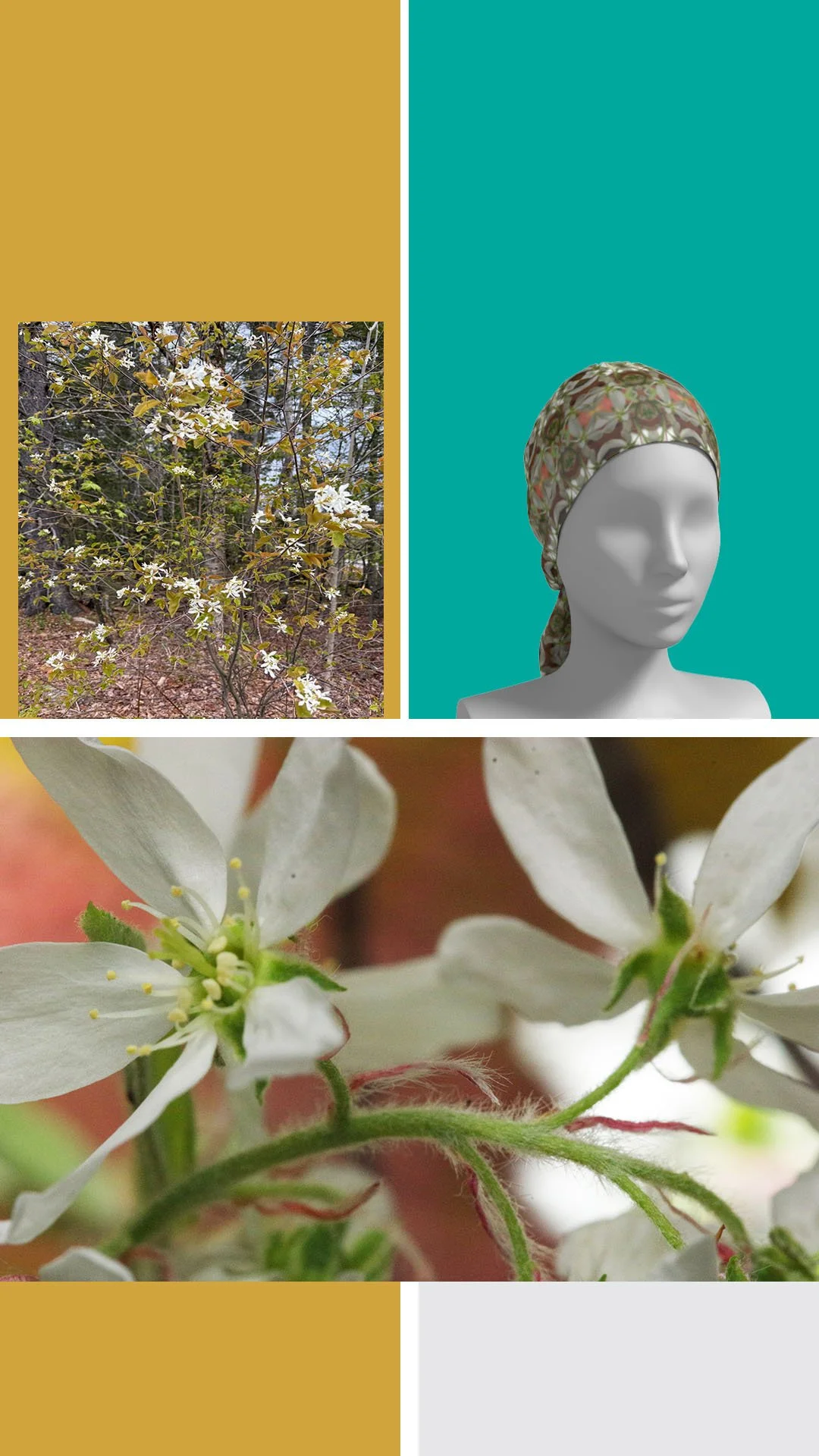 Symmagery Shadblow Serviceberry Silk Scarf