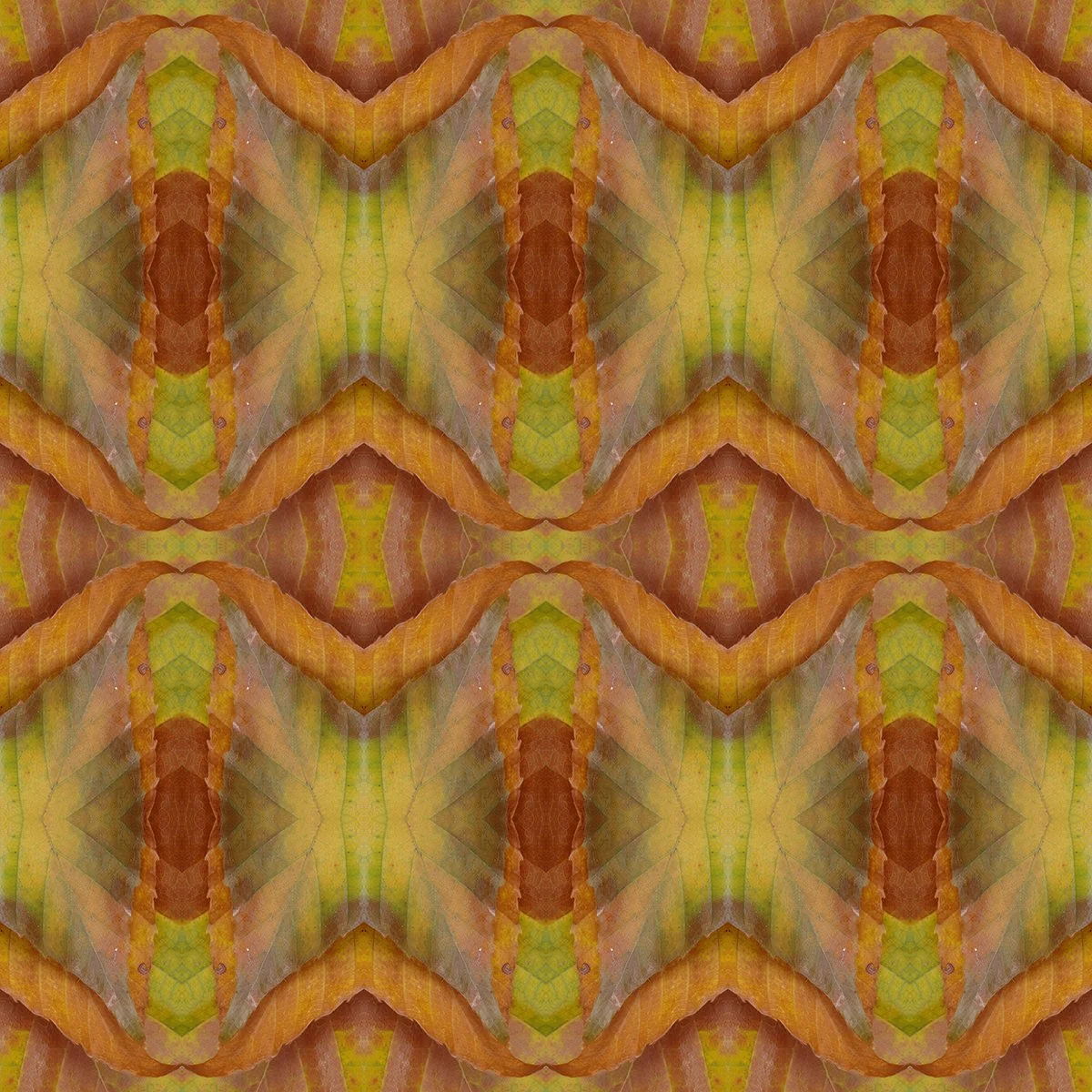 8832 Beech Wallpaper Swatch.jpg