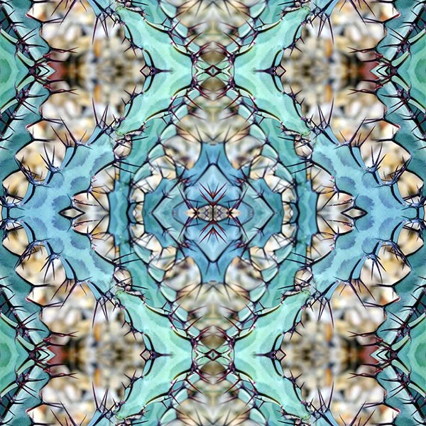 Teal Euphorbia.jpg