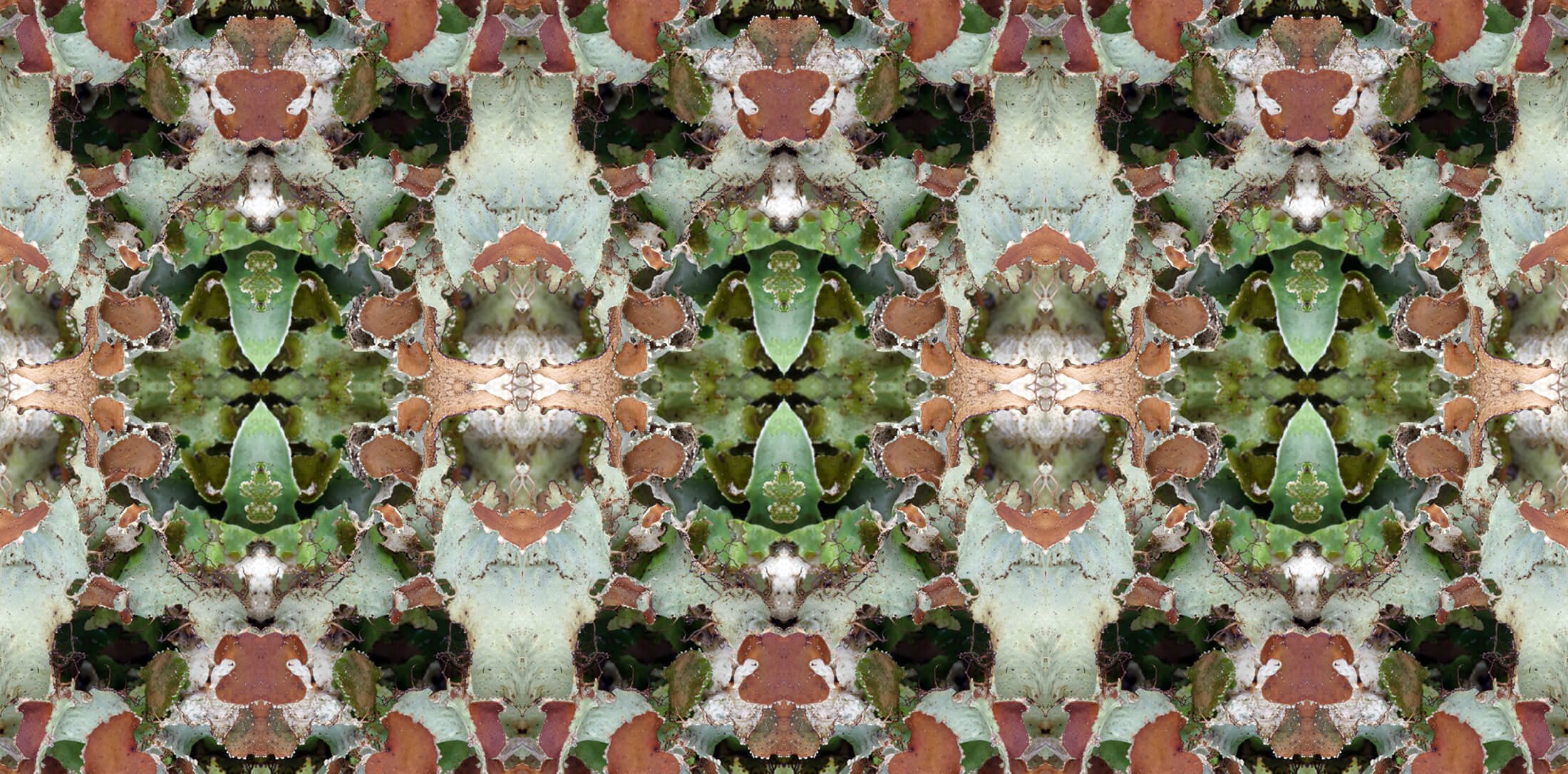 Pastels Collection