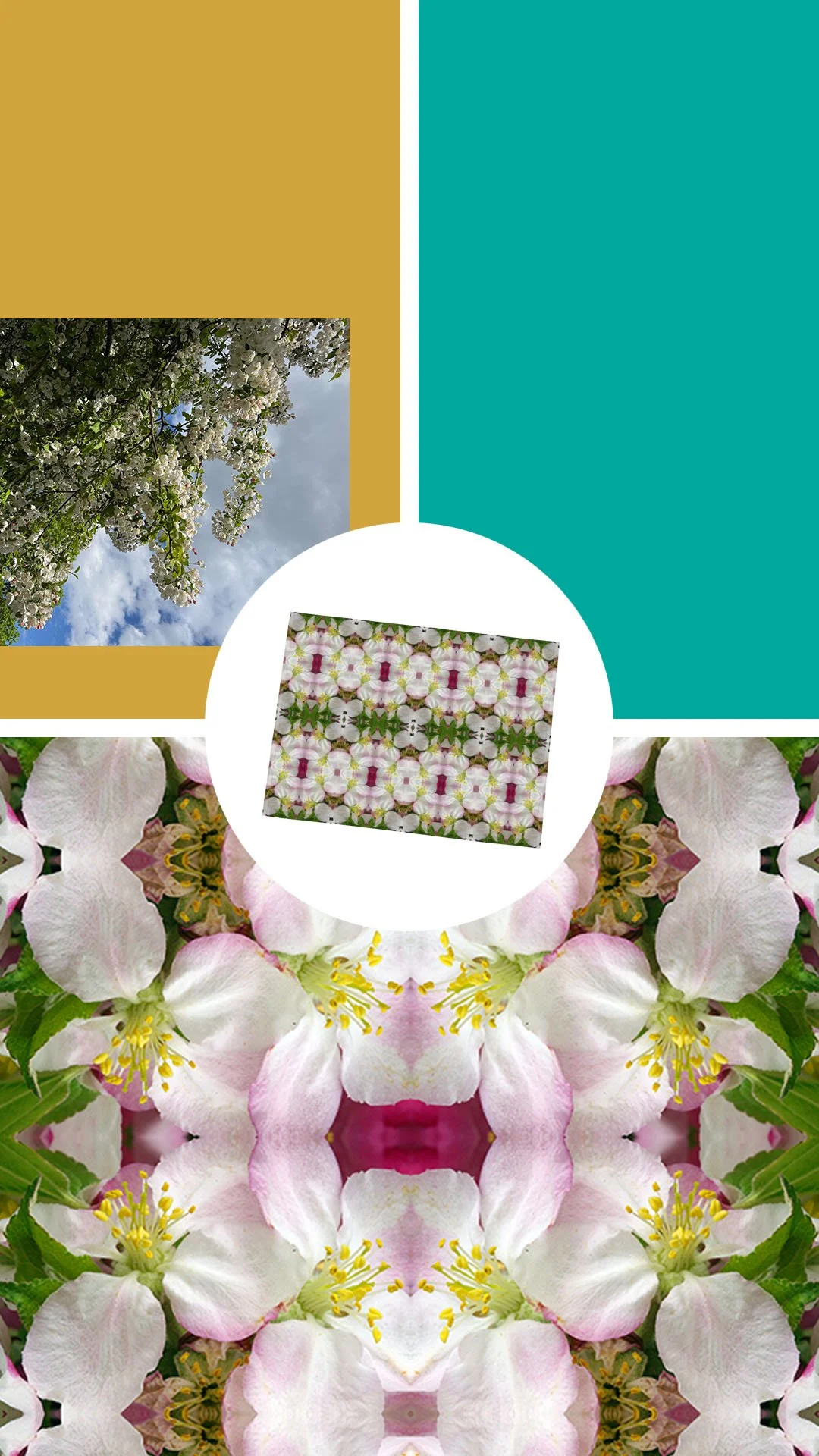 Symmagery Apple Blossom Placemat