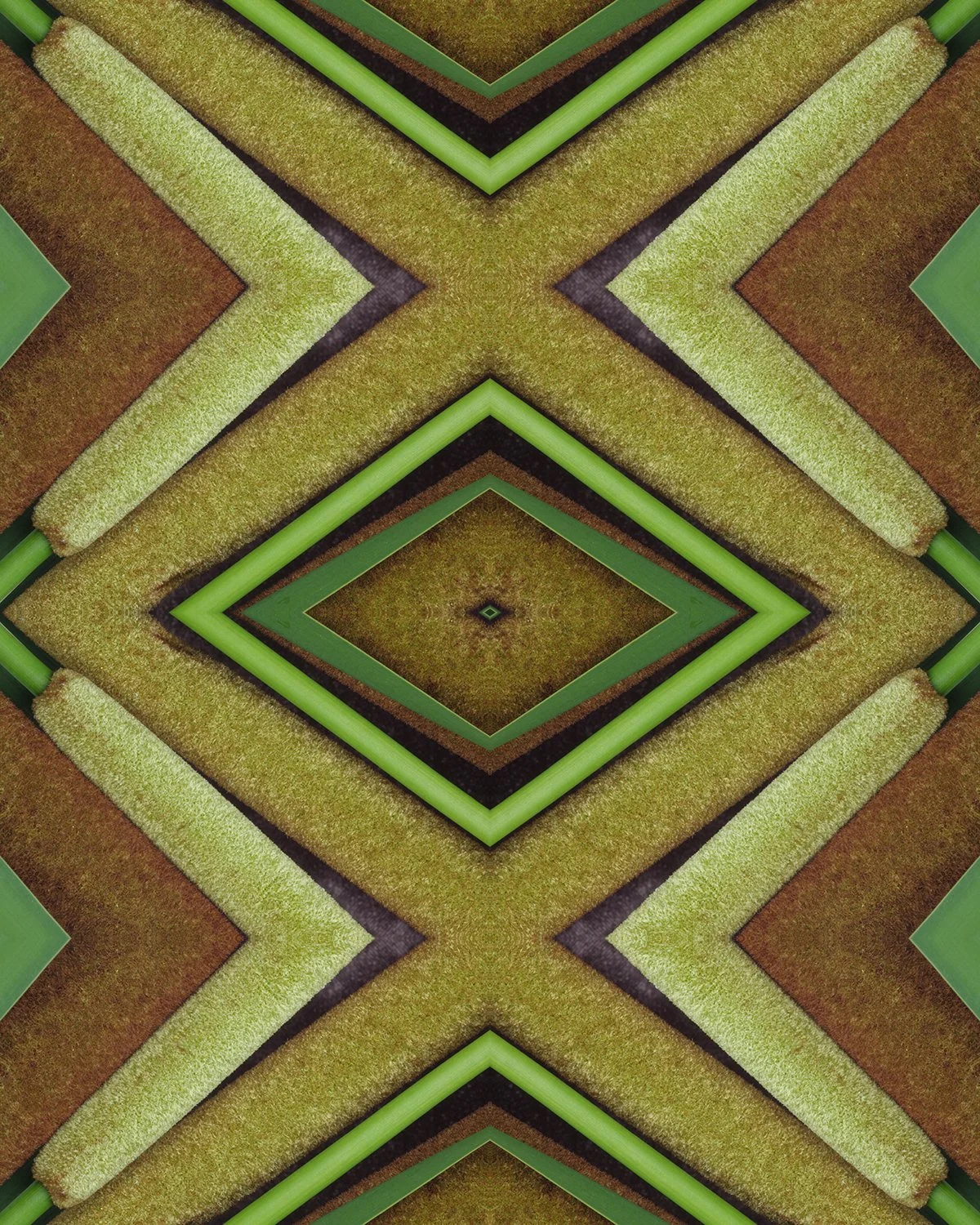 Cattail 1 Reel pattern b.jpg