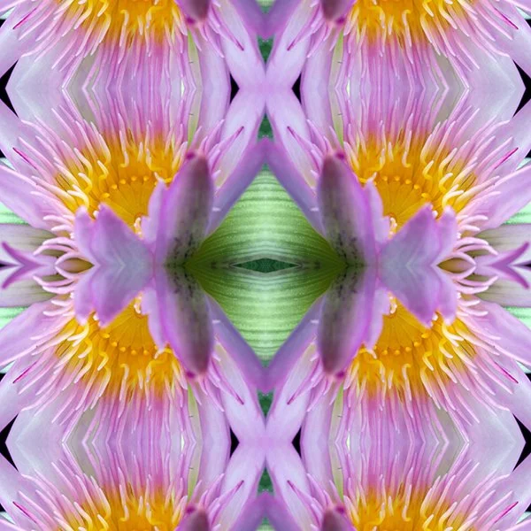 Pink Lotus Flower Swatch.jpg