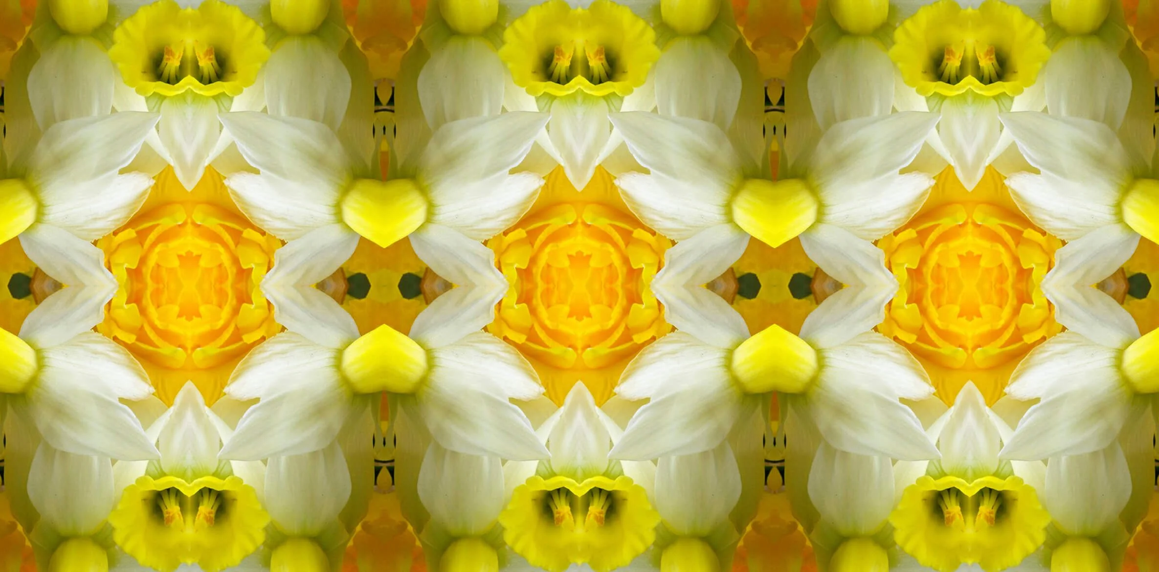 Spring Bulbs Collection