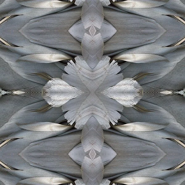 Canada Goose Feather swatch.jpg