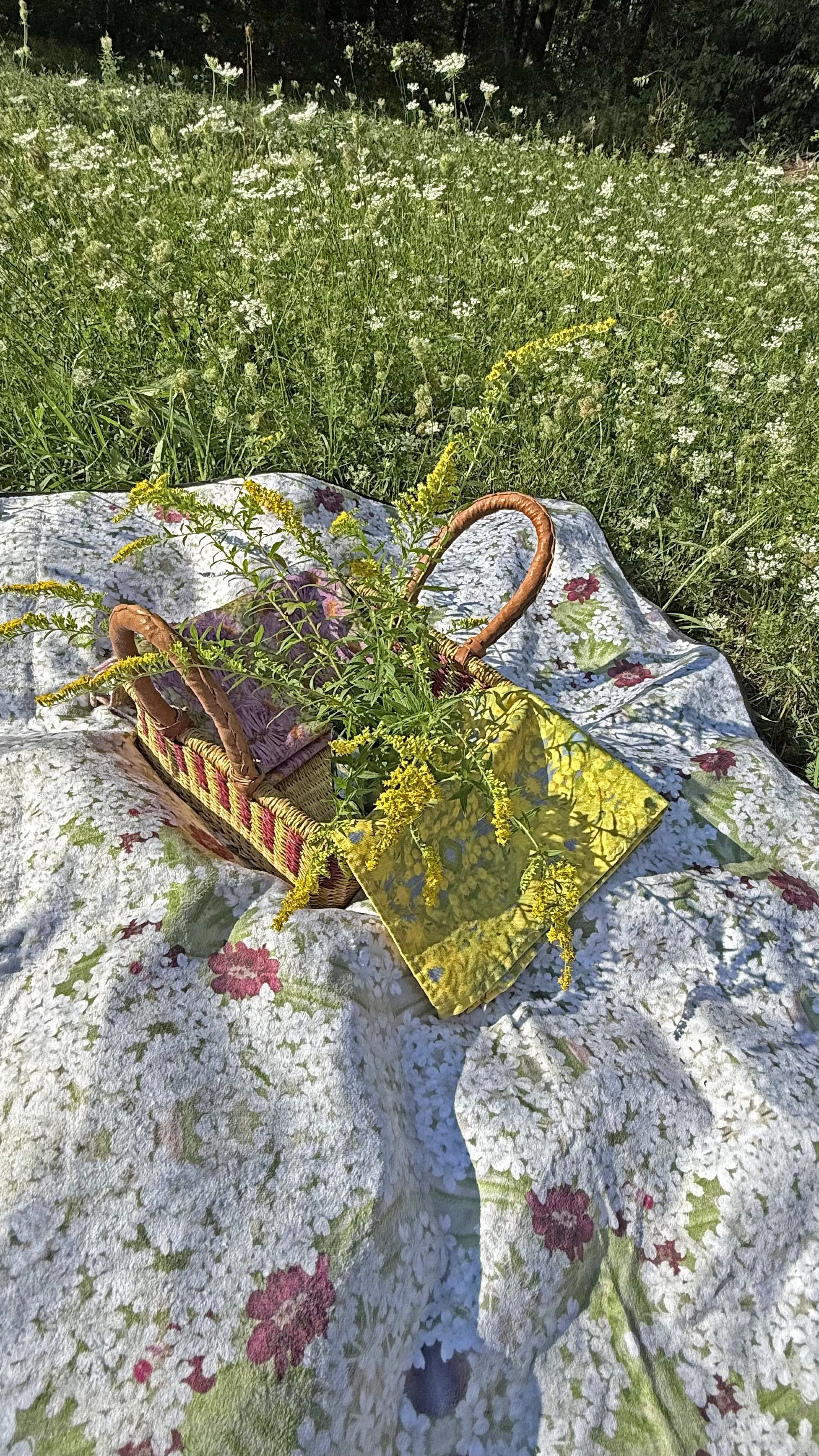 Symmagery Queen Anne's Lace Picnic Blanket - Perfect Outdoor Companion, Ideal for Festivals, Beach Days, Camping, Family Gatherings, or Relaxing at Home