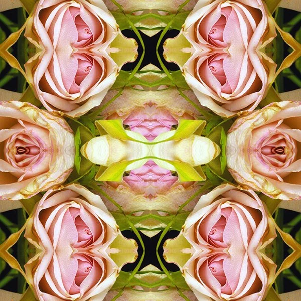 Old fashioned Pink Rose Swatch.jpg