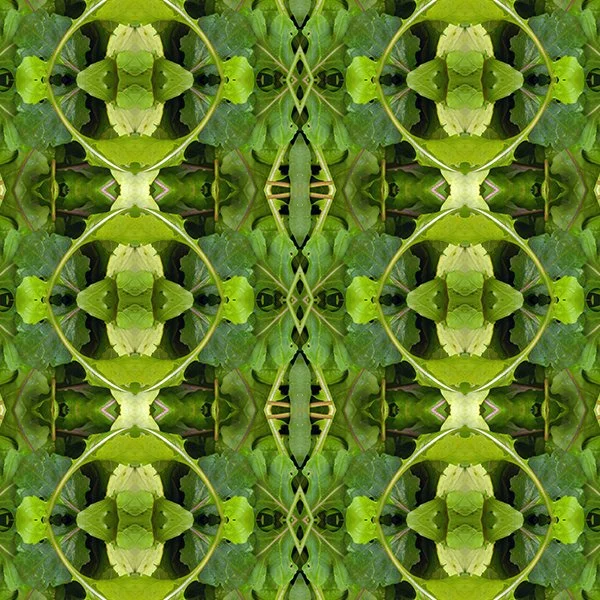 Pattern Swatch Arugula.jpg