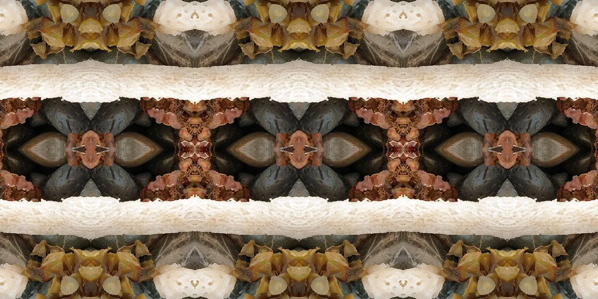 ROCK STAR SEAWOOD SPONGE PATTERN