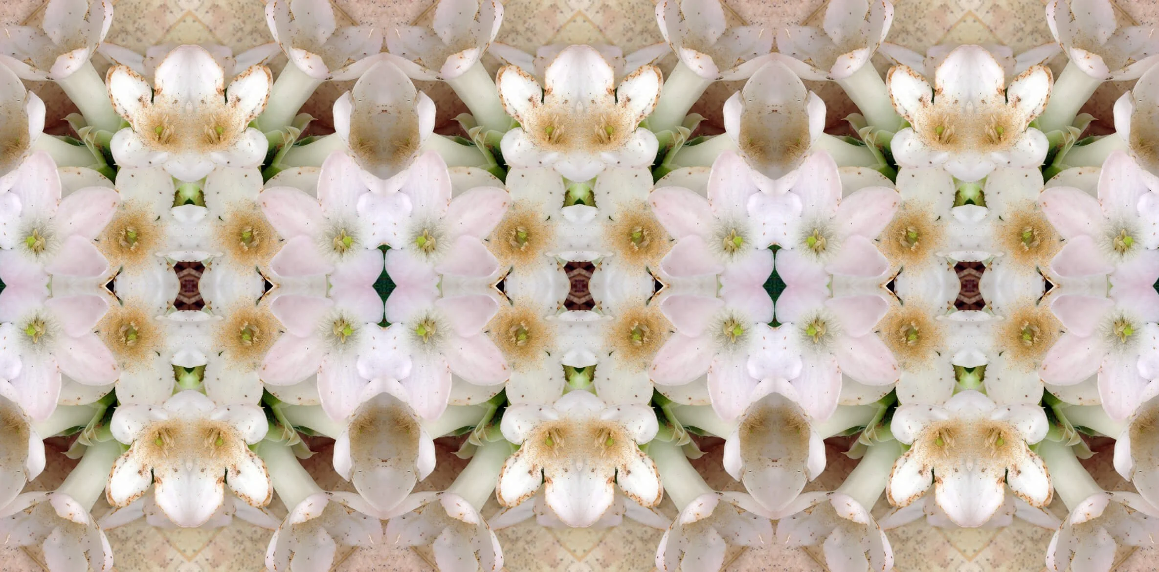 TRAILING ARBUTIS II PATTERN