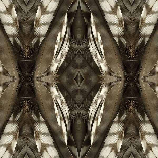 Pattern Swatch Peregrine falcon feathers.jpg