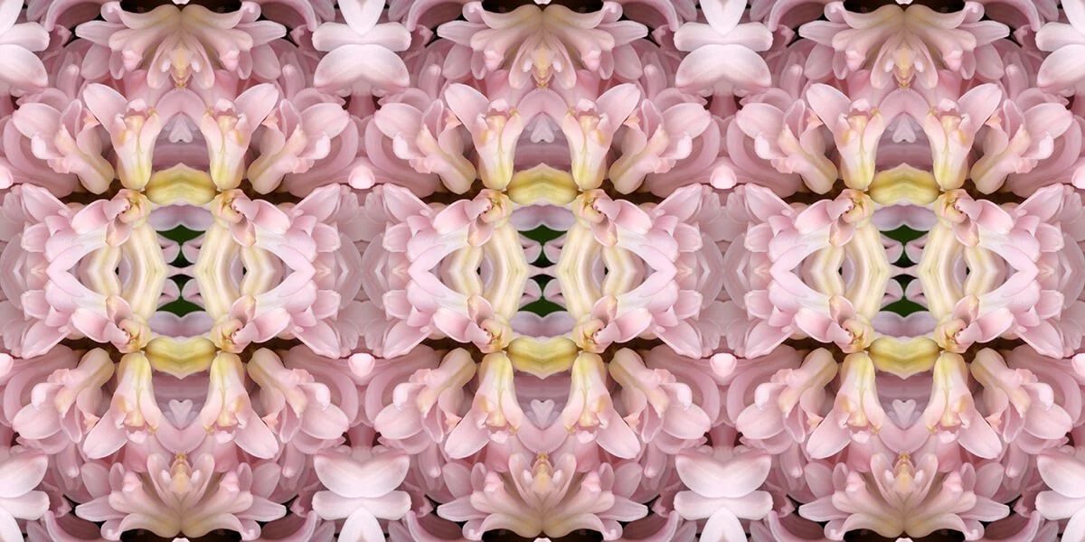 PINK HYACINTH PATTERN
