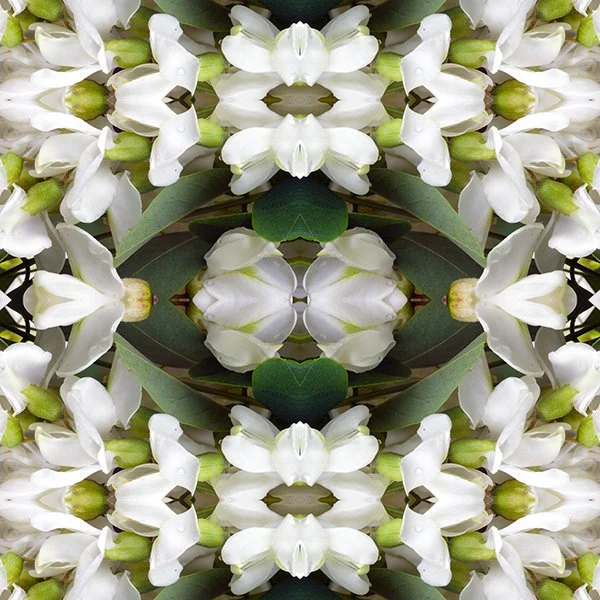 Pattern Swatch Black Locust Blossom.jpg