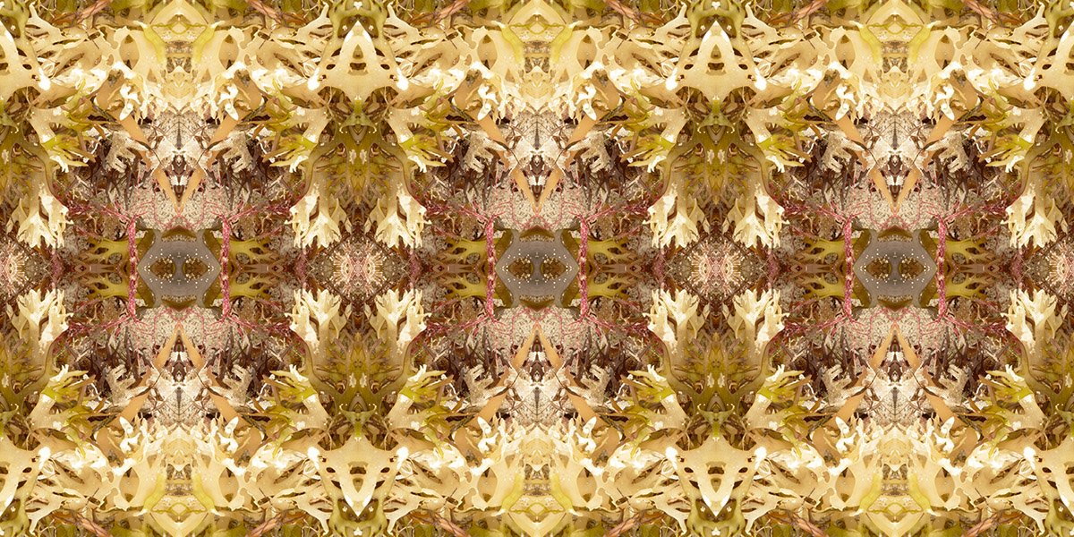 CUSH SEAWEED PATTERN