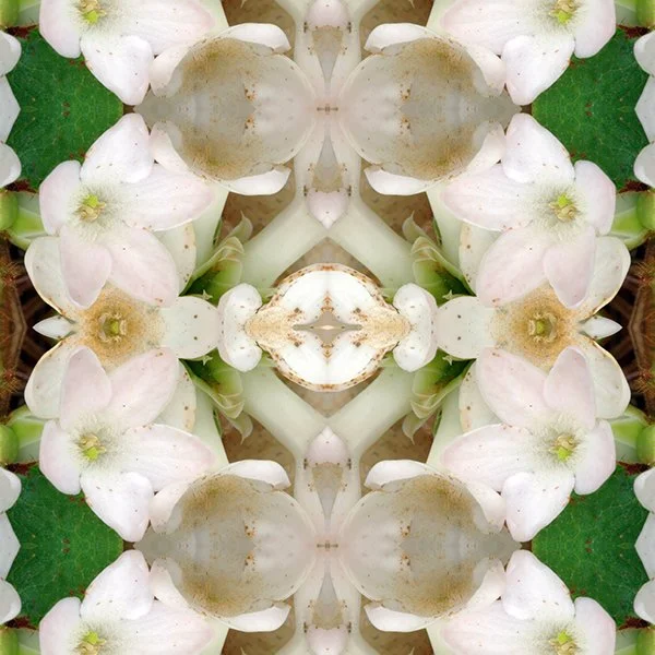 Trailing arbutis 1 pattern swatch.jpg