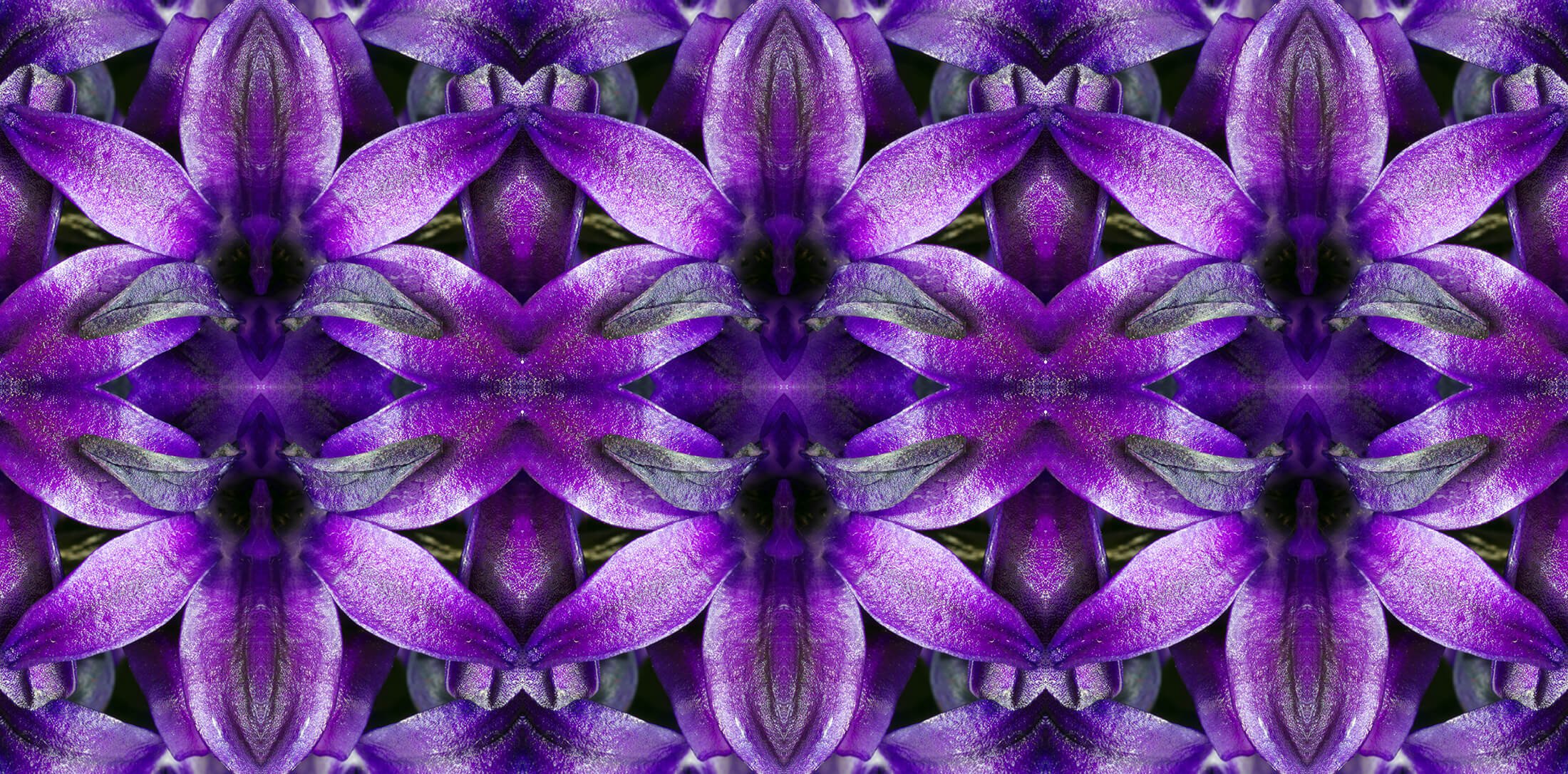 DEEP PURPLE HYACINTH PATTERN