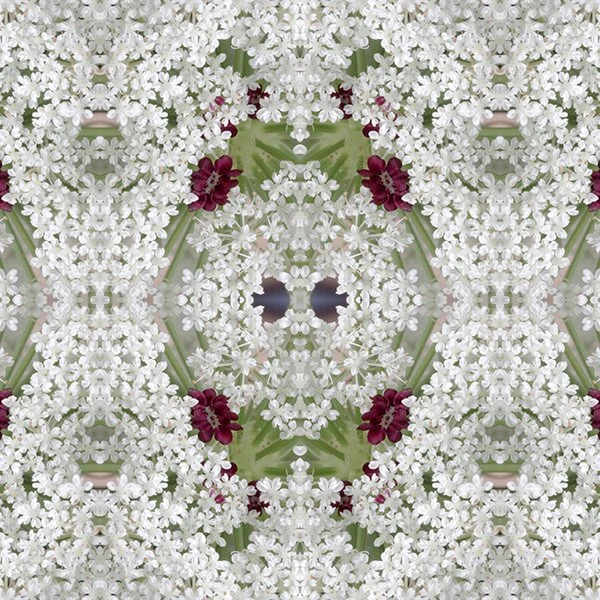 Queen Anne's lace Swatch.jpg