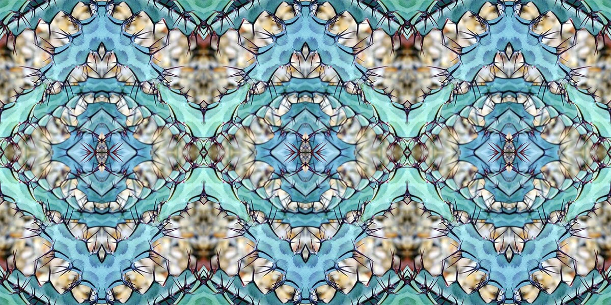 TEAL EUPHORBIA PATTERN