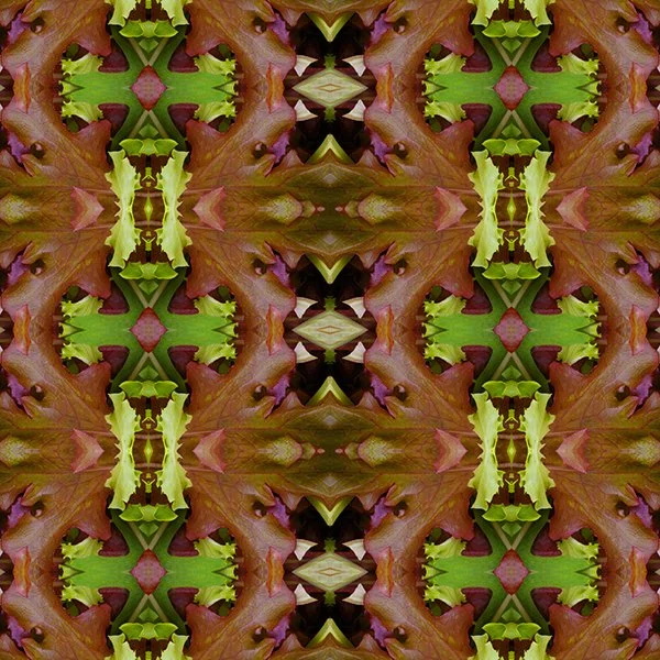 Pattern Swatch Mesclun greens.jpg