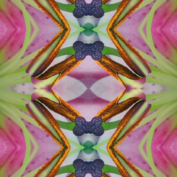 Asiatic Lily Swatch .jpg