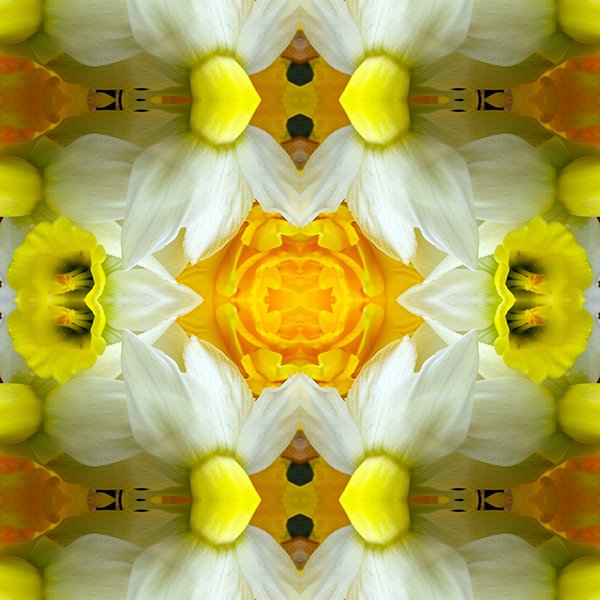 Daffodil flounce Swatch.jpg