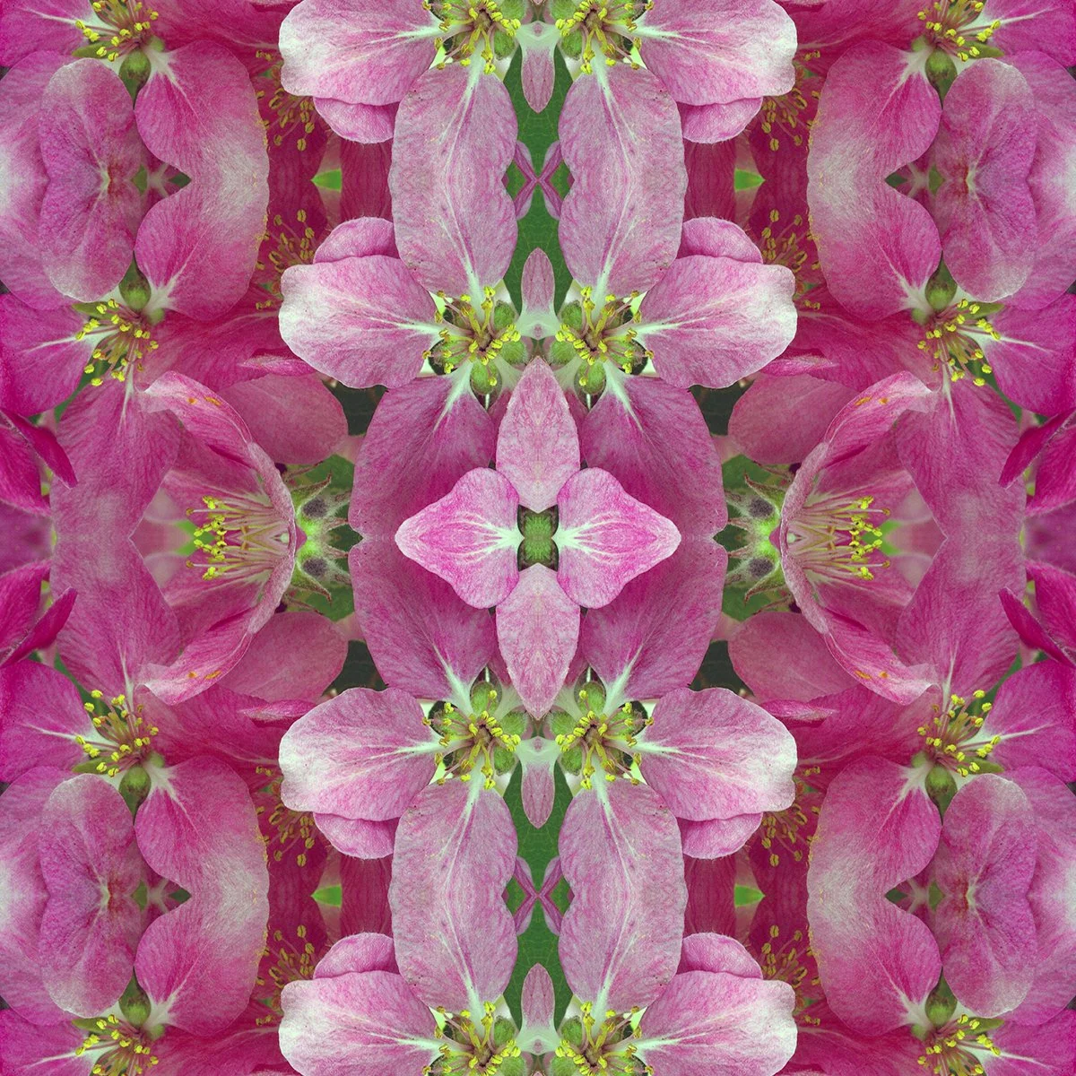 Pattern Swatch Crabapple close.jpg